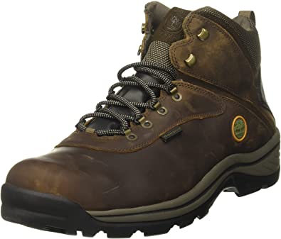 Timberland Men's Waterproof Ankle Boot