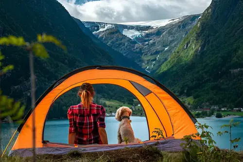 Tent Camping With Dogs setup on hiking with dog