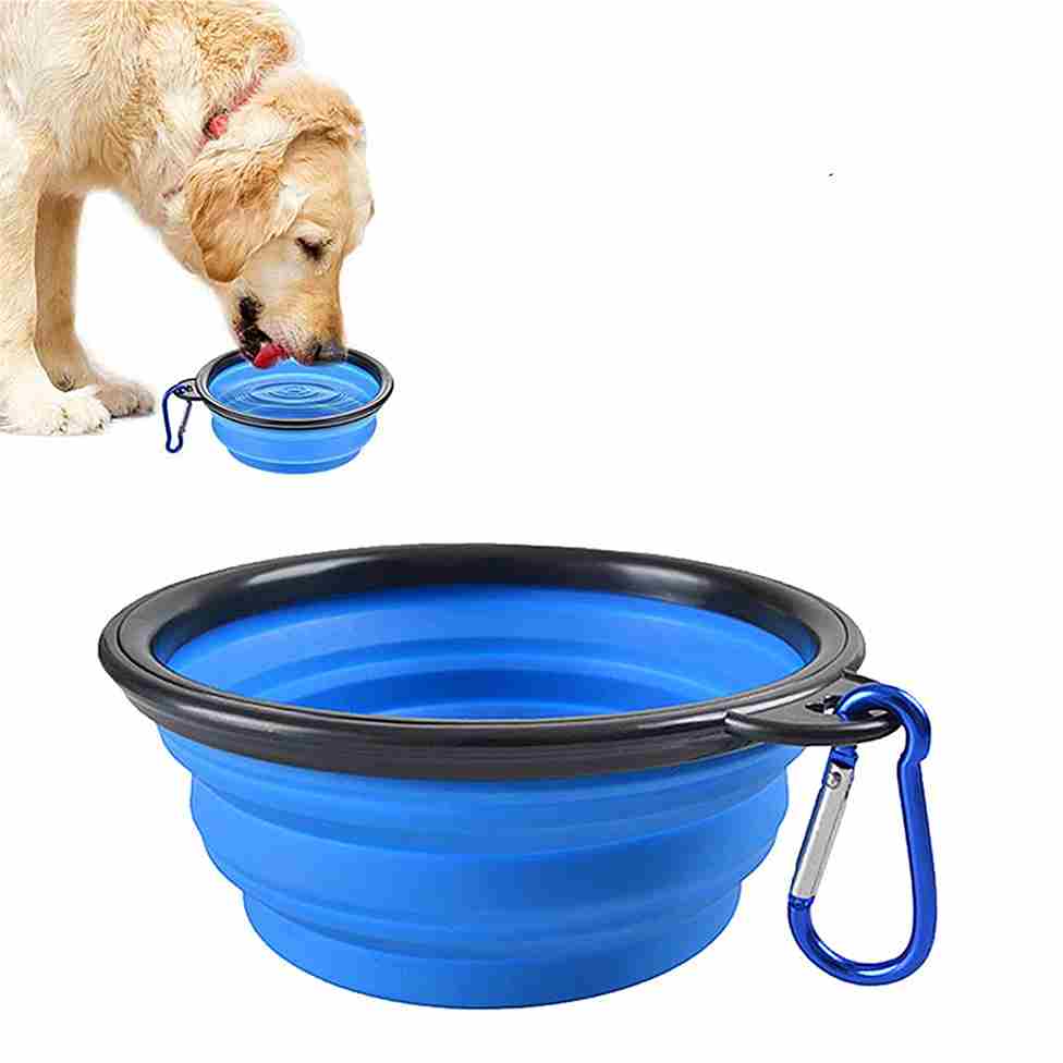 Dog collapsible bowl
